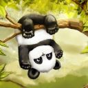 panda_ae666