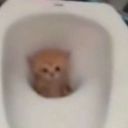 KOTVTOILET