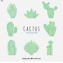 funcactus