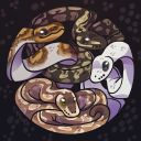 bakhytkerey_dayana_2