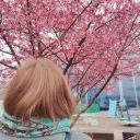 AnastasiaRenaissance