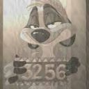 Timon3256