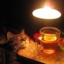 leilazalyalievaiclou