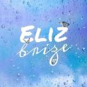 elizbrize
