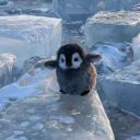 999999offinets999999