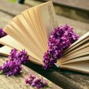 Katherine_Brisse_off