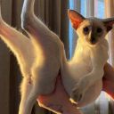 kristinka_malinka___