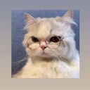 SarvinozNematullaeva