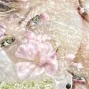 AnastasiaGracheva407