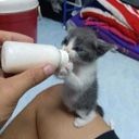 iforgotmyshitinthekz