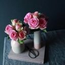 Twilight_panda_Tommy