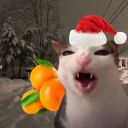 xytaotianka12345mail