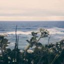 ValeriaShev_Official