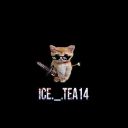ICETEAX14