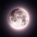 payton_3993payton999