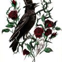 Raven_Sagittarius912