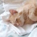 27042005Angelina_T-T