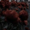 MyEyesAreSecondSun19