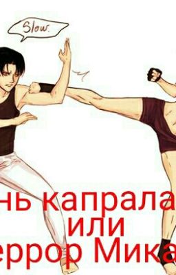 Жизнь Капрала Леви или Террор Микасы