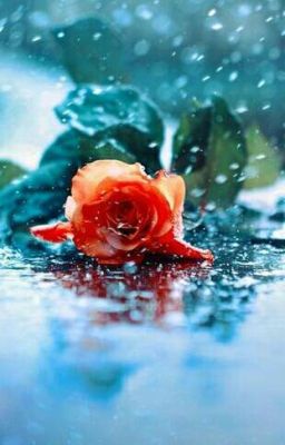 Дарующая жизнь