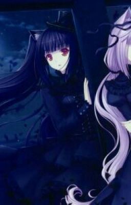 Безумие у Сакамаки.