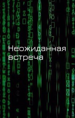 Неожиданная встреча