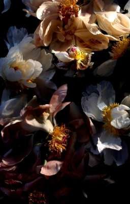 Потерянные письма(закончено) 