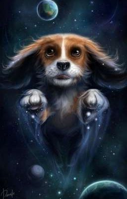 Книга сказок