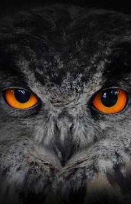 Пьяная вечеринка