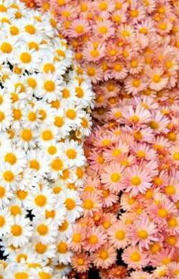 What you see? live? no... 