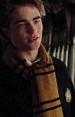 Мы встретились в Хогвартс-экспрессе