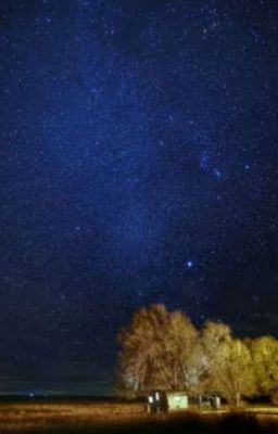 Зарисовка ночьной жизни. 