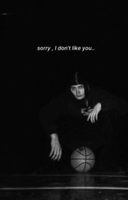 sorry i don't love you |seemee