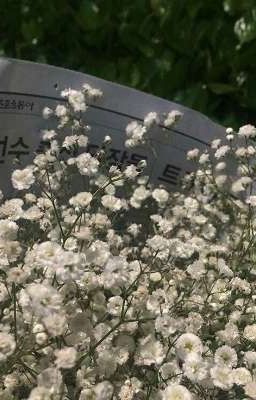   букет ромашек