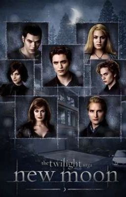 Сумерки. Новая история