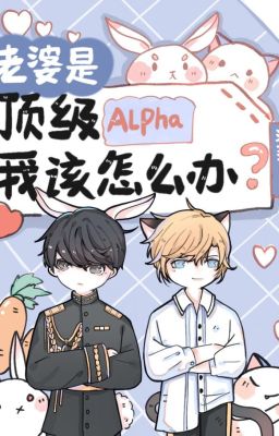 Моя жена - альфа. Что мне делать?