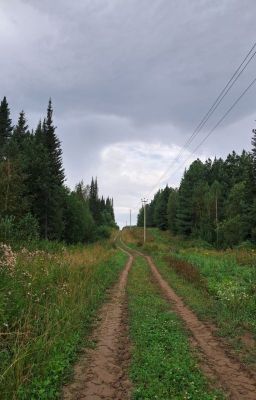 Станция «41-й км»