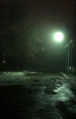 Он знает, где спрятаться..