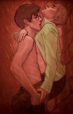 Гарри Потер,подчиняйся