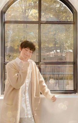 Следующая остановка - любовь