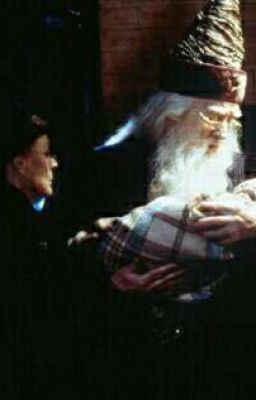 Гарри МакГонагалл