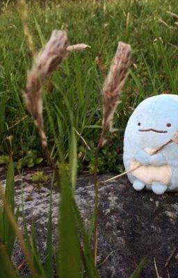 ТРУДНАЯ ЖИЗНЬ В ДЕРЕВНЕ