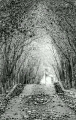 Голый Страх