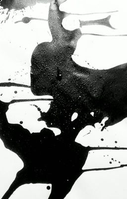 Белый кролик