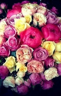 Прекрасная жизнь