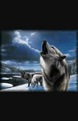 Любовь оборотней