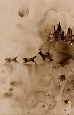 Серая мышка Гриффиндора✨💗