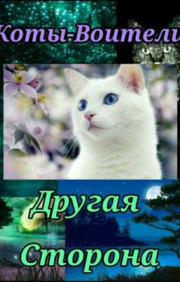 Коты Воители.Другая сторона.