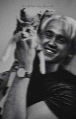 Драко  Малфой - Безумная История.