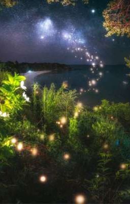 твоя  сумасшедшая жизнь🌌🪄